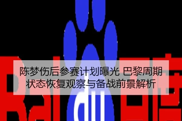 陈梦伤后参赛计划曝光 巴黎周期状态恢复观察与备战前景解析